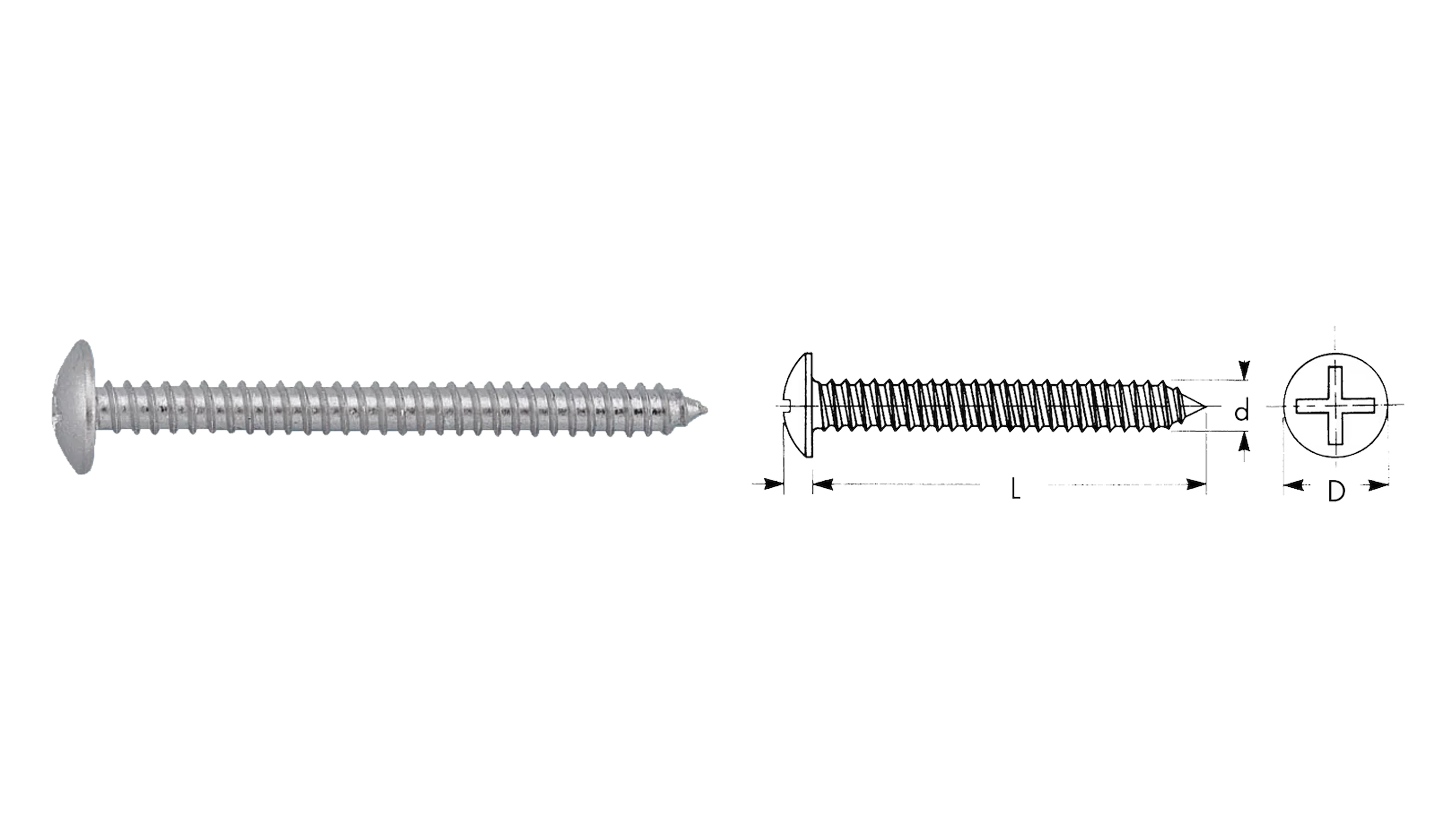 VITI AUTOFILETTANTI PER METALLI TESTA 1/2 TONDA CILINDRICA IMPRONTA PH