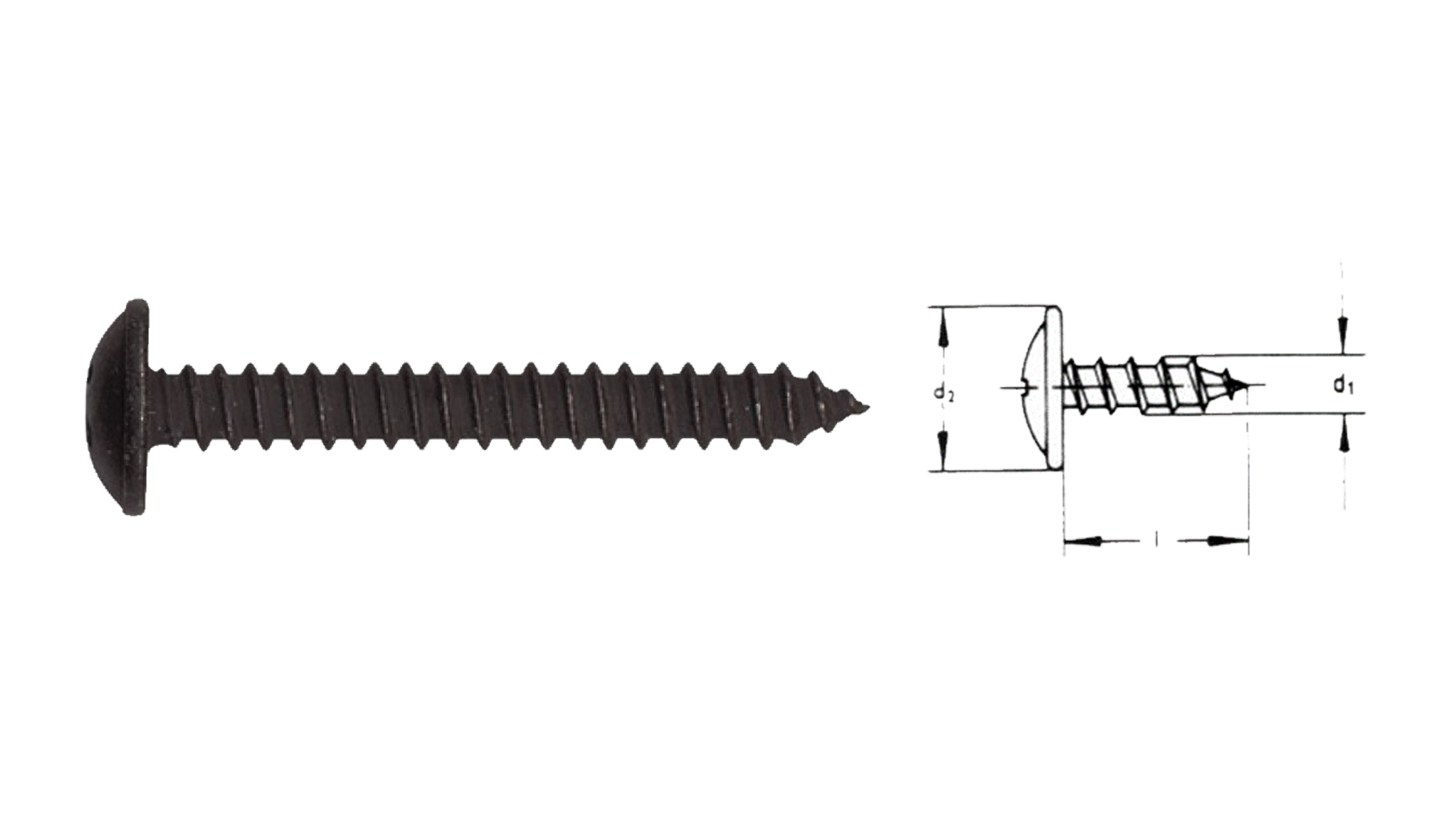 VITI AUTOFILETTANTI PER METALLI TESTA CILINDRICA FINTA RONDELLA IMPRONTA PH