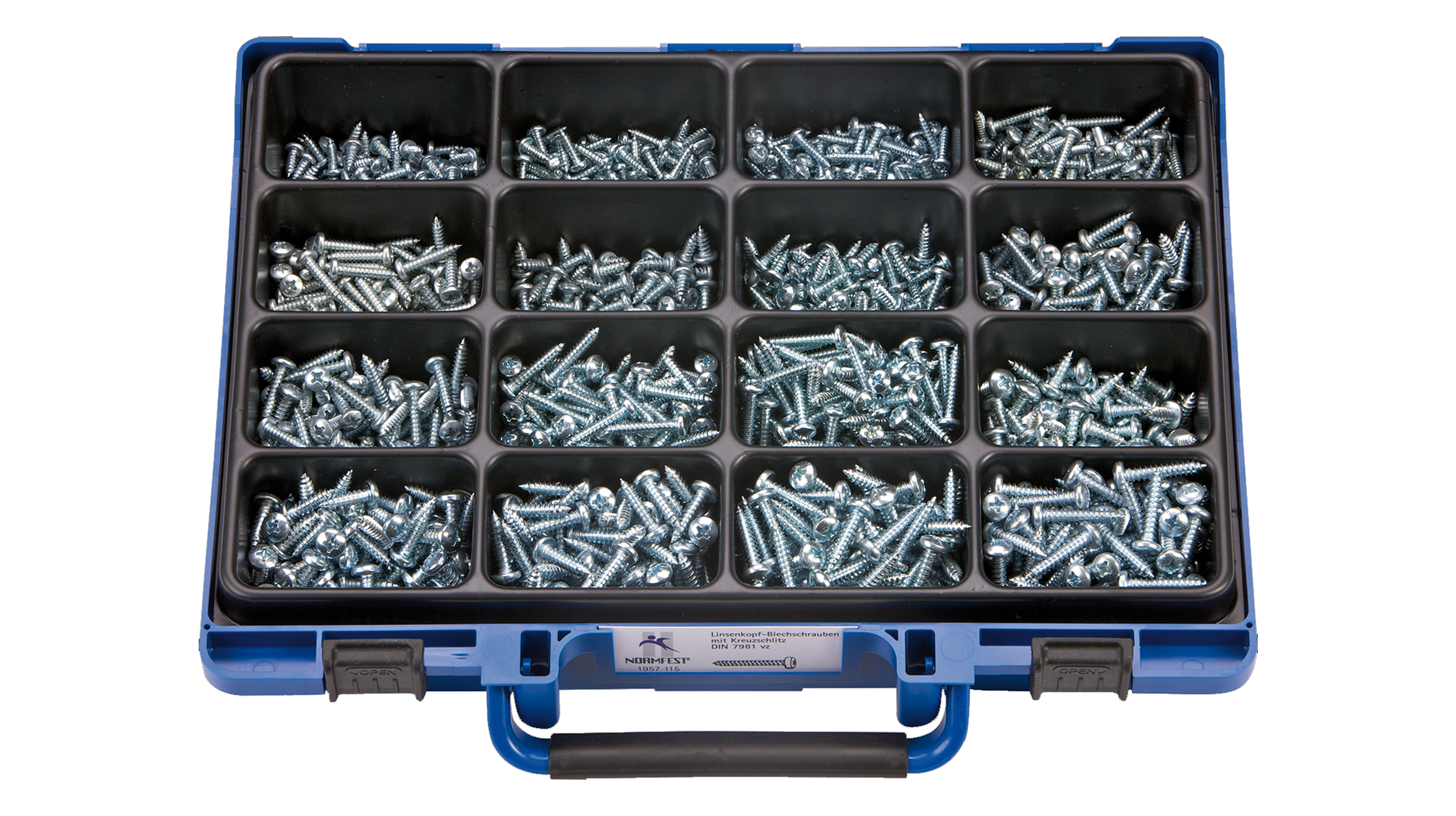 ASSORTIMENTI VITI AUTOFILETTANTI