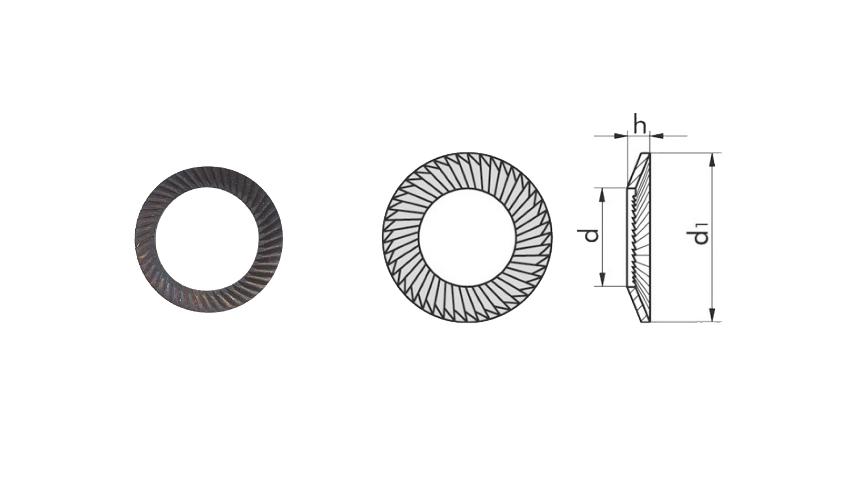 RONDELLE DI SICUREZZA SCHNORR