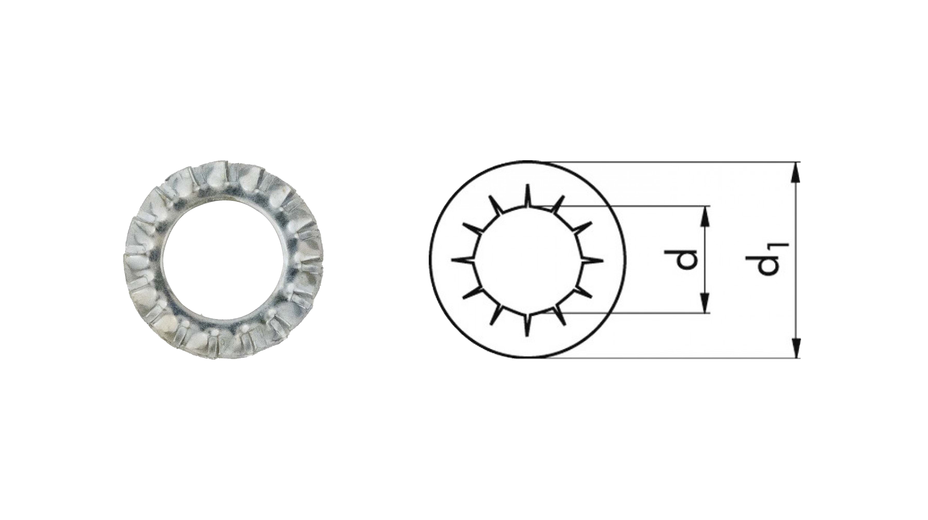 RONDELLE DENTELLATE DIN 6798 I