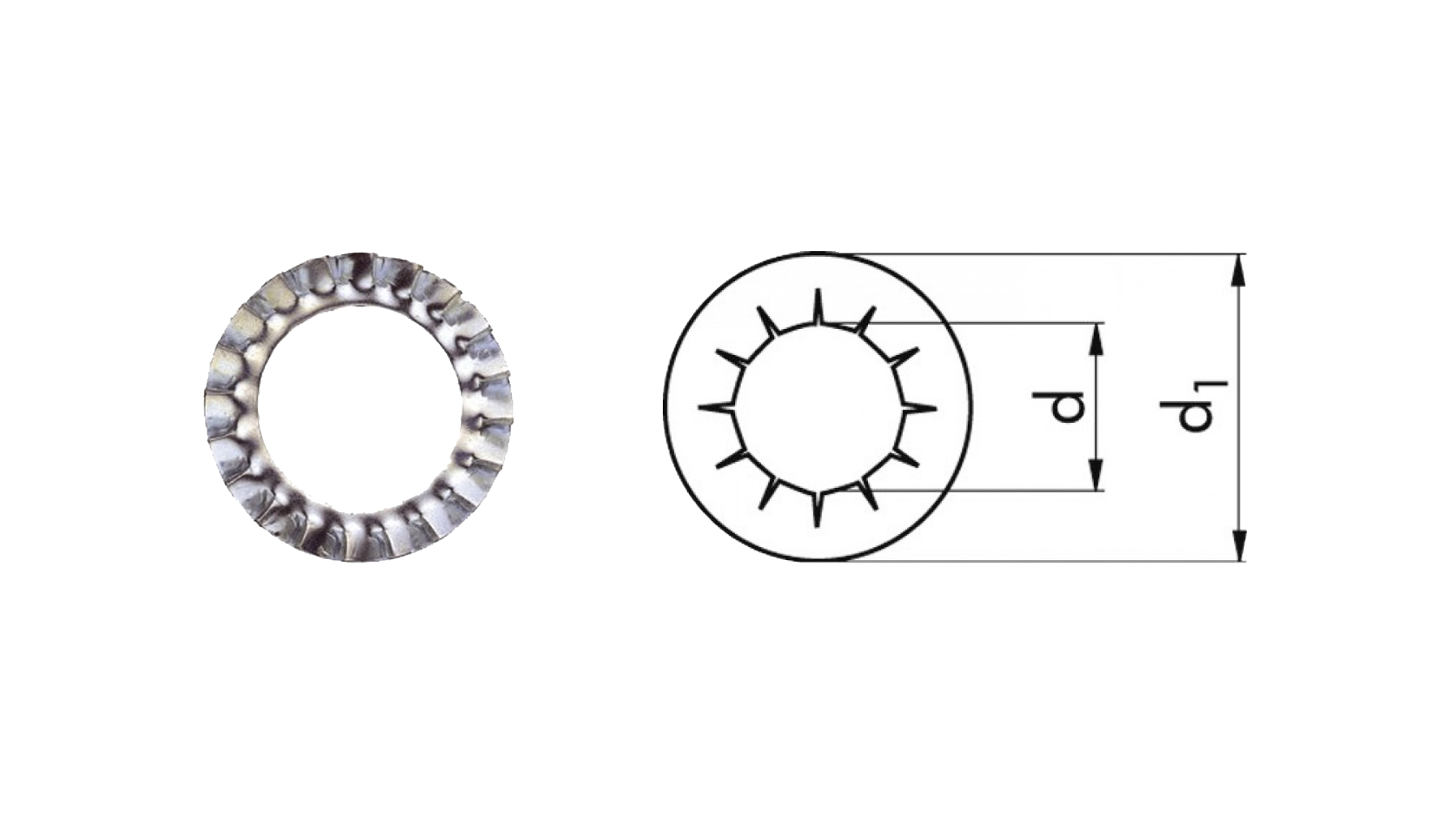 RONDELLE DENTELLATE DIN 6798 A