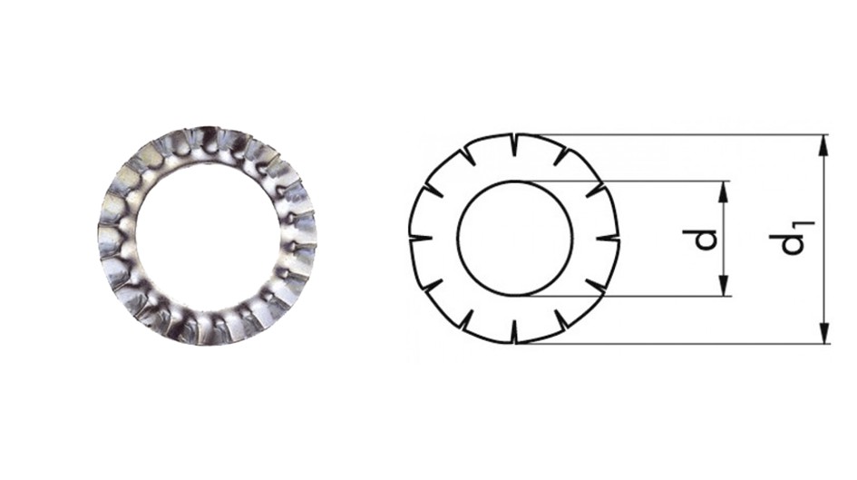 RONDELLE DENTELLATE ESTERNE DIN 6798A