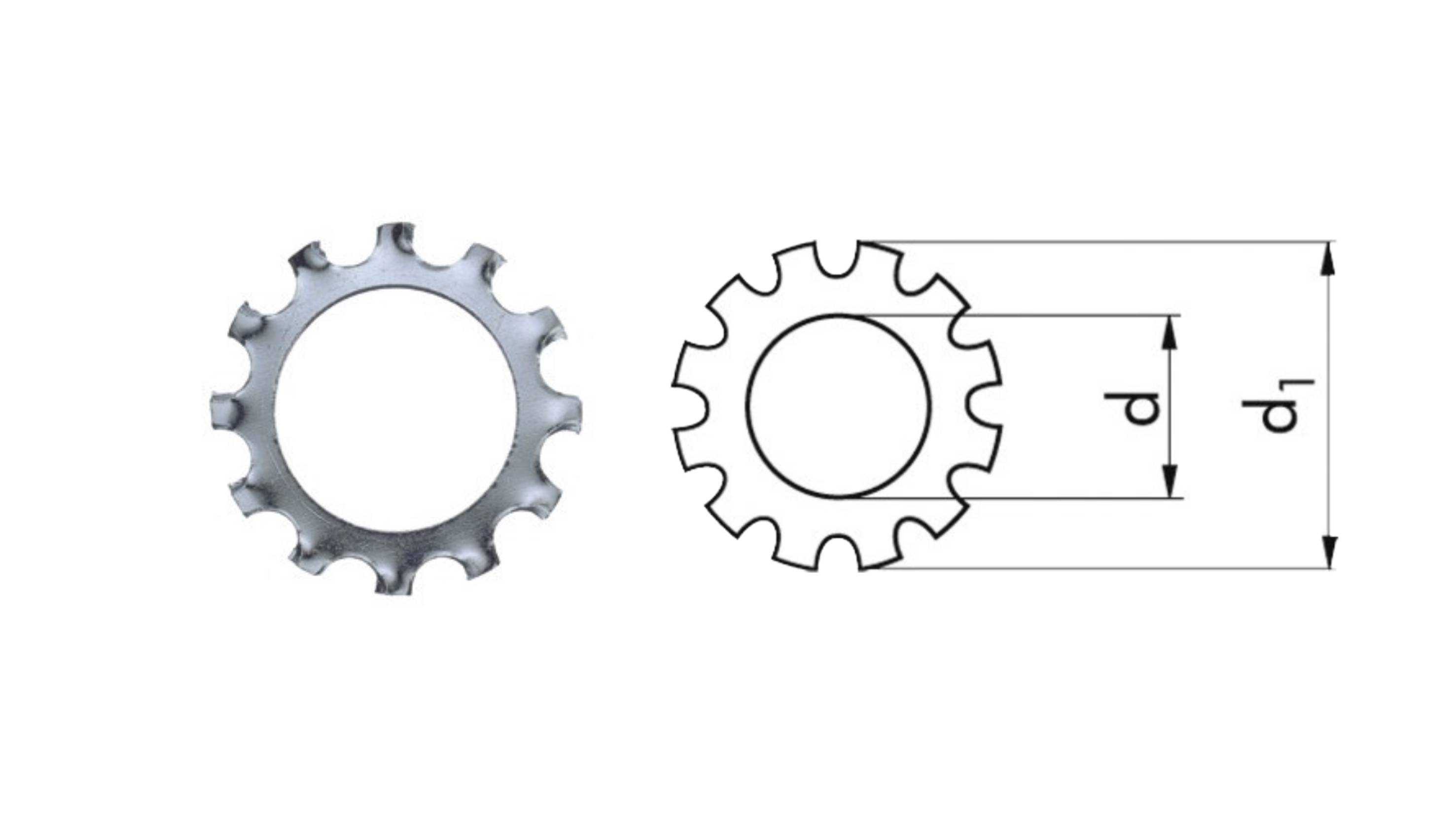 RONDELLE DENTELLATE ESTERNE DIN 6797A