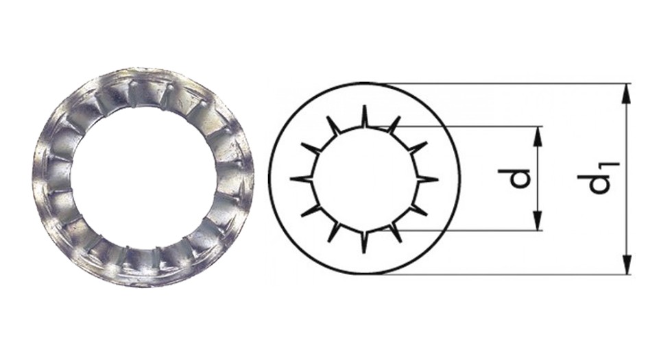 RONDELLE DENTELLATE INTERNE DIN 6798J