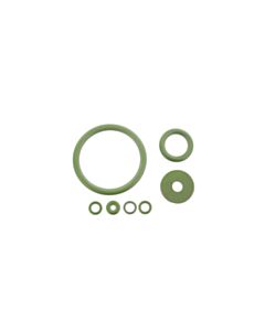 Immagine GUARNIZIONE PER SPRUZZATORE MANUALE A PRESSIONE_0