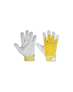 Immagine GUANTI IN PELLE MAIALINO TG 8_0