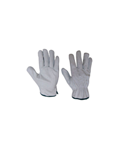 Immagine GUANTI PELLE FIORE       TG11_0