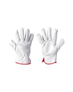 Immagine GUANTI PELLE FIORE       TG10_0